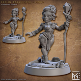 Faelin Oakwhisper 3D-printed model